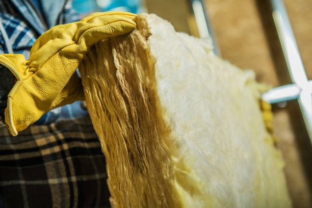 Best Specialized Insulation Services in Waterloo, IA